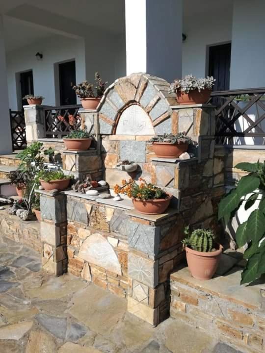 Olga Paltsi Rooms Paltsi Pilion Exterior photo