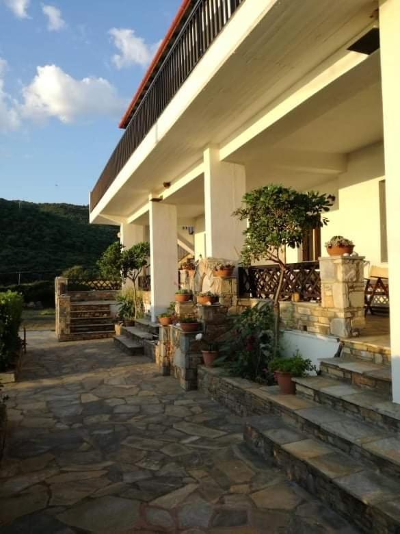 Olga Paltsi Rooms Paltsi Pilion Exterior photo