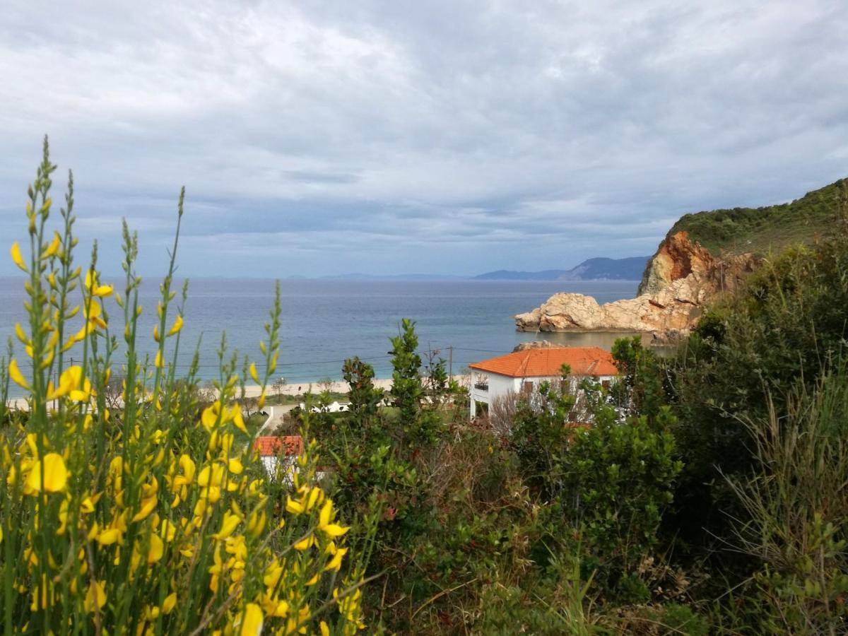 Olga Paltsi Rooms Paltsi Pilion Exterior photo